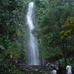Air terjun tlogo muncar, Sumber: campatour.com