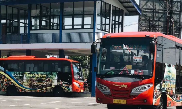 Sewa Bus wisata, Sumber: pexels.com